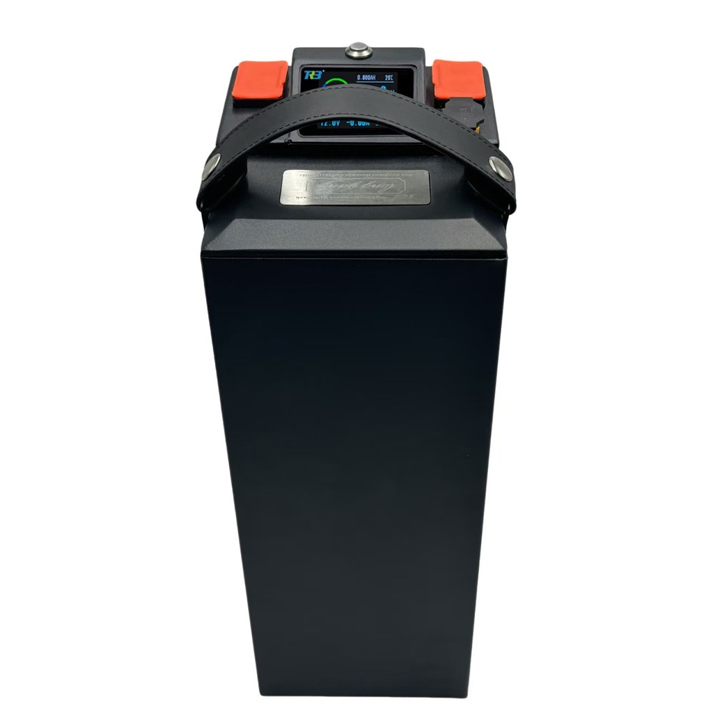Sur-Ron Ultra Bee - PRO — תאי EVE 50PL | Green Power מעבדת סוללות